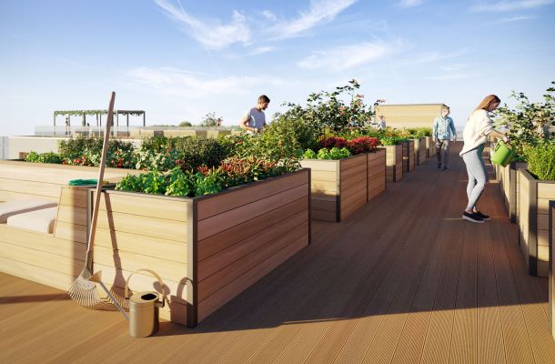 Garten auf der Dachterrasse